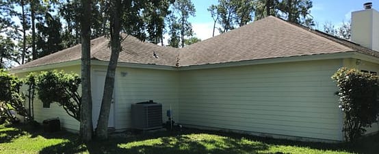A large tree in the middle of a yard.