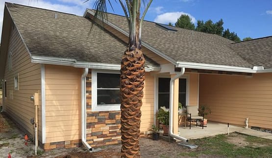A palm tree that is in front of a house.