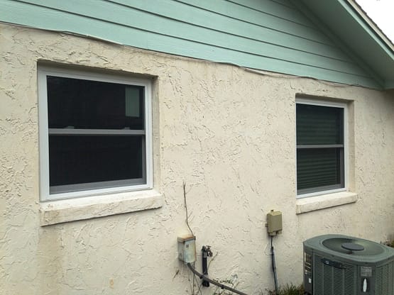 A house with two windows and a cat outside.