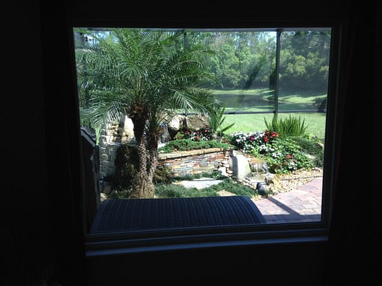 A view of a garden from outside the window.