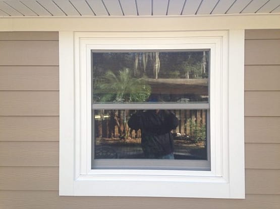 A black bear is sitting in the window of a house.