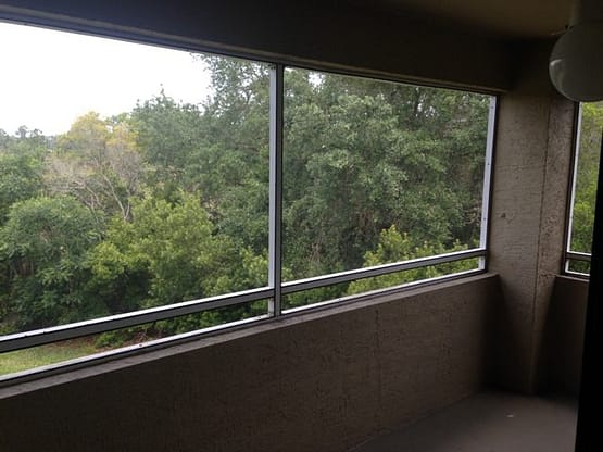 A window with a view of trees outside.