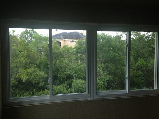 A view of trees from the window.